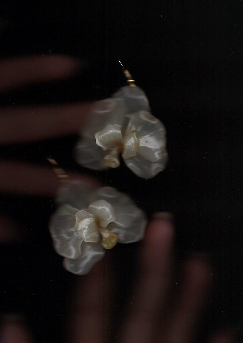 Cream orchids earrings