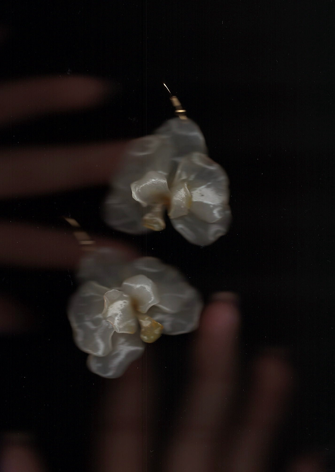 Cream orchids earrings