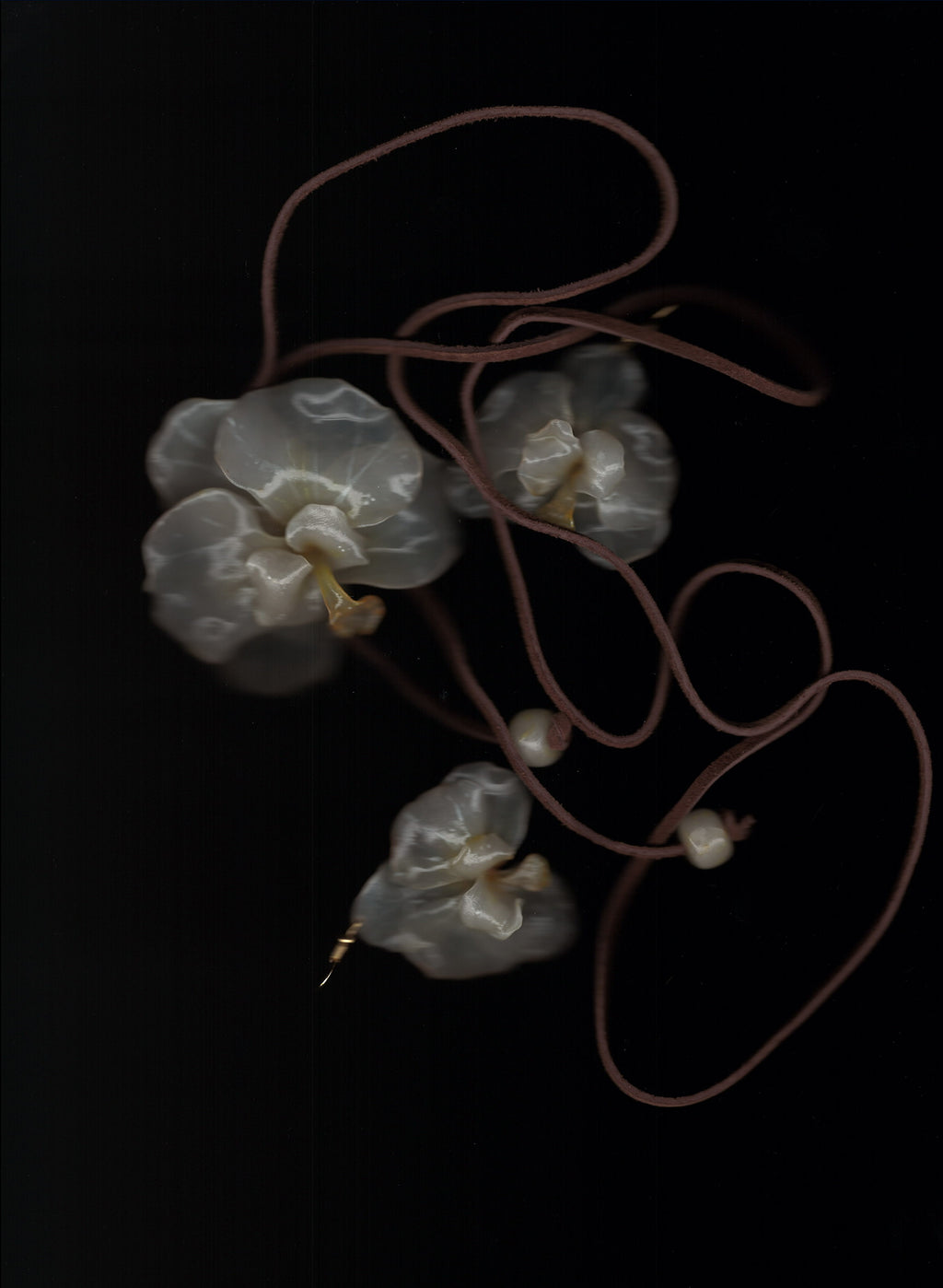 Cream Orchids Set