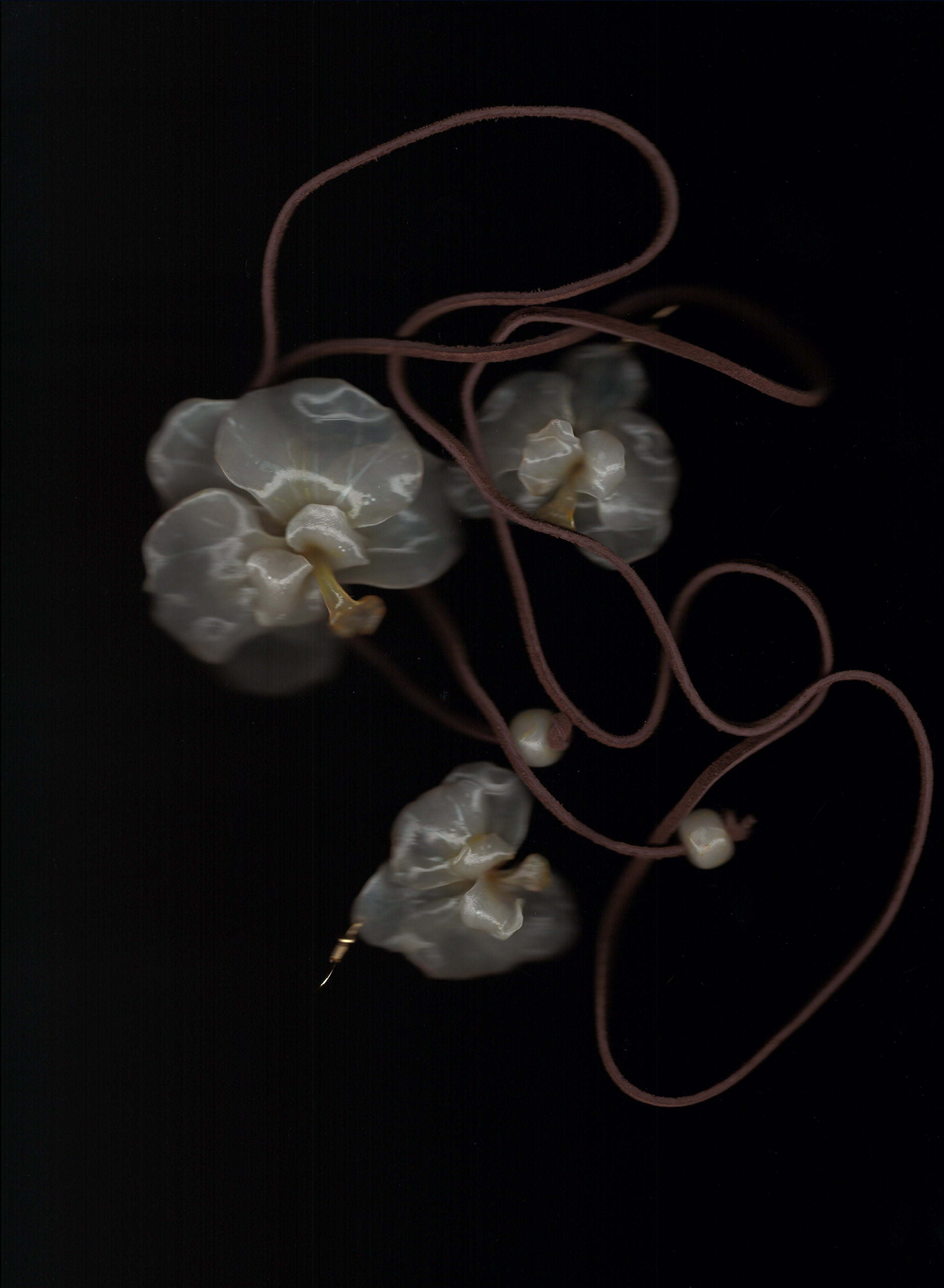 Cream Orchids Set
