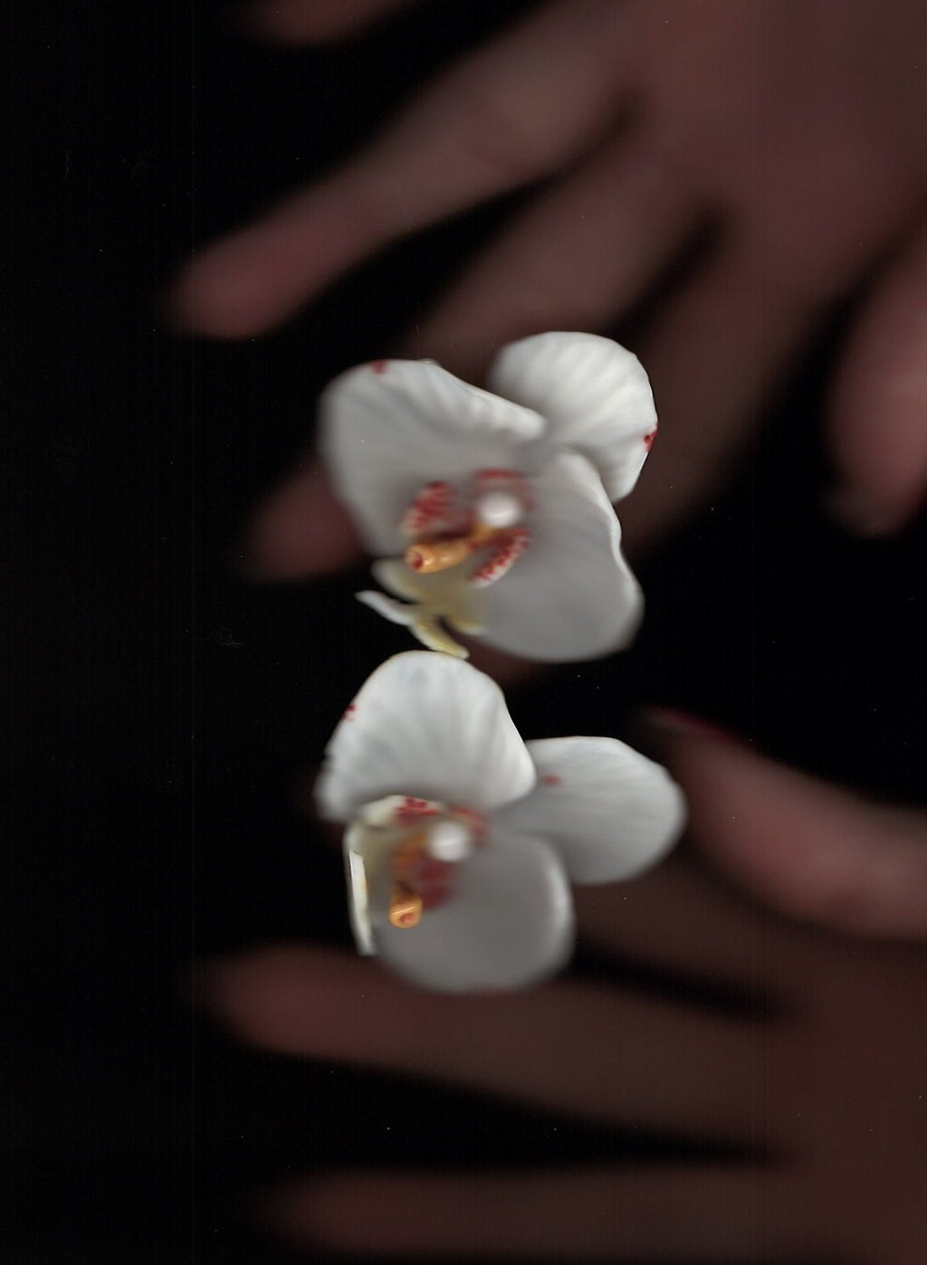 White Orchid Earrings